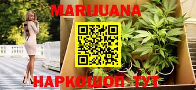 индика Бузулук
