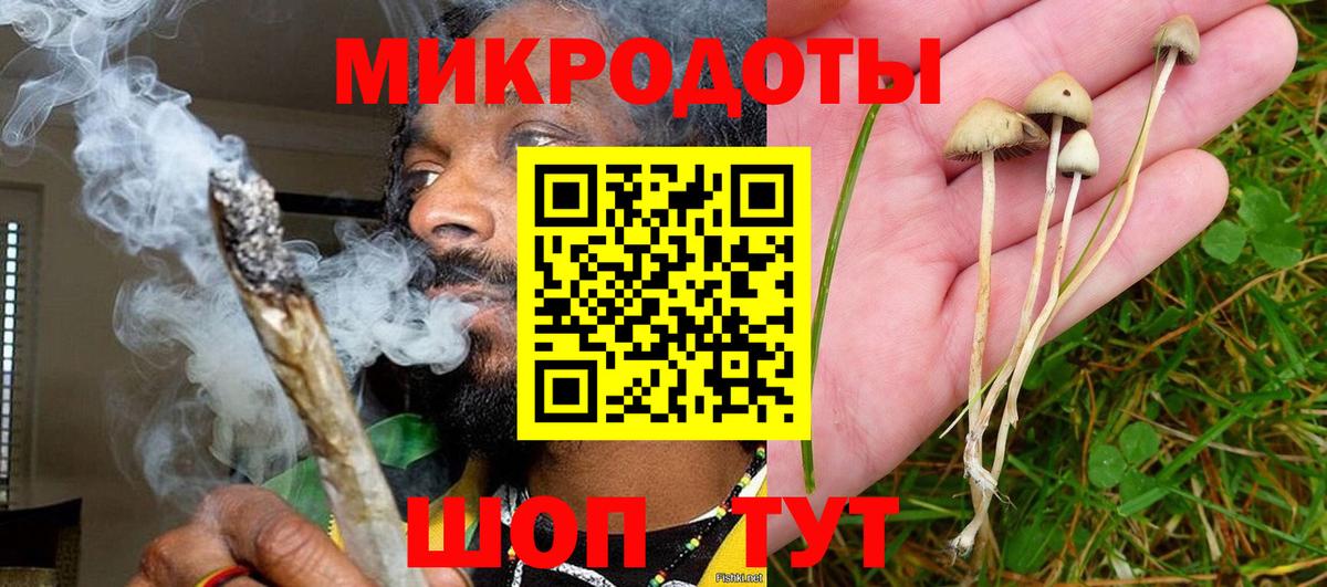 Галлюциногенные грибы мухоморы Рассказово